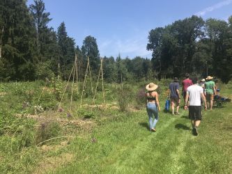 Ankunft im Permakulturgarten des Birchhofs (Juli 2021)