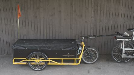 2024-12/carla-leer-lrk-00