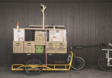 2024-12/carla-voll-lrk-11